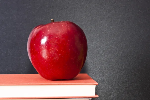 Onderwijs en onderwijzen, leren — Stockfoto