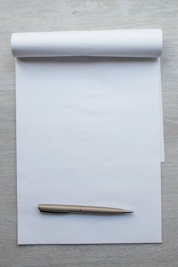 Kalemle boş not defterinin üst görünümü
