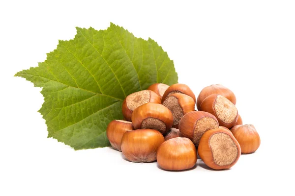 Stacked Natural Hazelnuts Leaves Isolated White — Stock Photo, Image