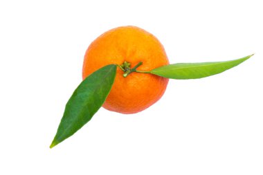 Beyaz arkaplanda doğal mandalina
