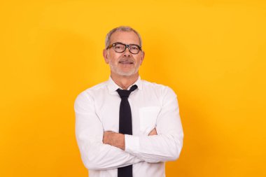 çekici başarılı kıdemli adam arka planda izole