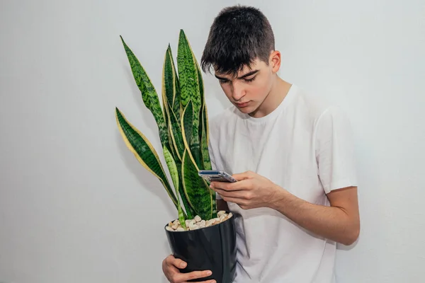 Mladý Muž Mobilním Telefonem Hrncem Rostlinou Doma — Stock fotografie