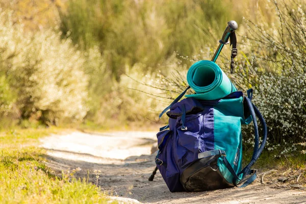 Backpack Luggage Trekking Pole Way — Fotografia de Stock
