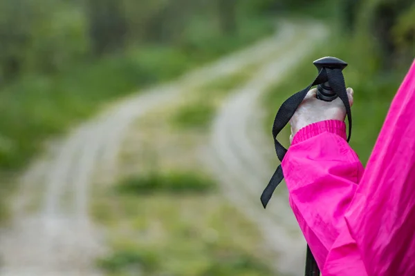 Mano Con Bastone Trekking Con Sentiero Fondo — Foto Stock