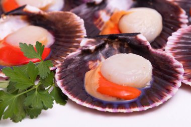 Galaksi kökenli ham doğal deniz tarakları, tipik gastronomi.