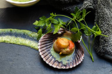 Kişniş ve yeşil soslu ızgara deniz tarağı, deniz ürünleri.