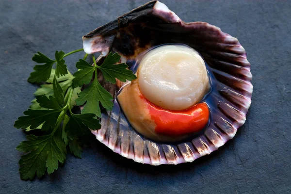 Open Natural Fresh Scallop Coriander Stone Tray Seafood — Stock Photo, Image