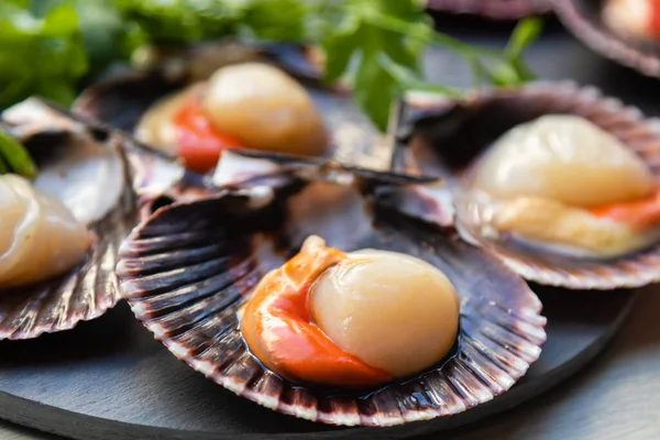 Capesante Fresche Naturali Aperte Con Coriandolo Vassoio Pietra Frutti Mare — Foto Stock