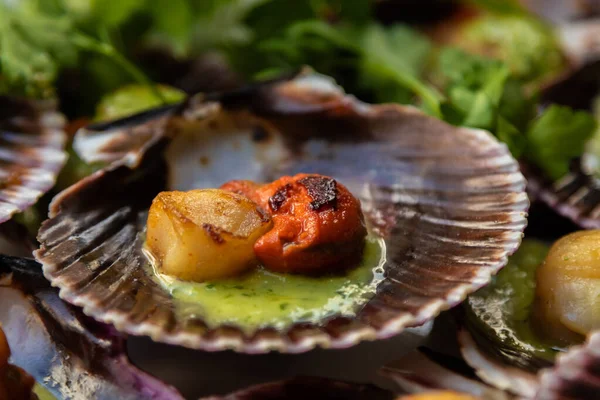 Grilled Scallops Coriander Green Sauce Stone Plate Seafood — Stock Photo, Image