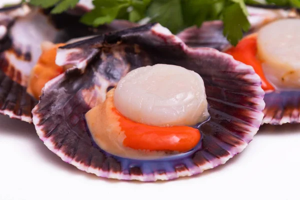 Raw Natural Scallops Galician Origin Typical Gastronomy — Stock Photo, Image