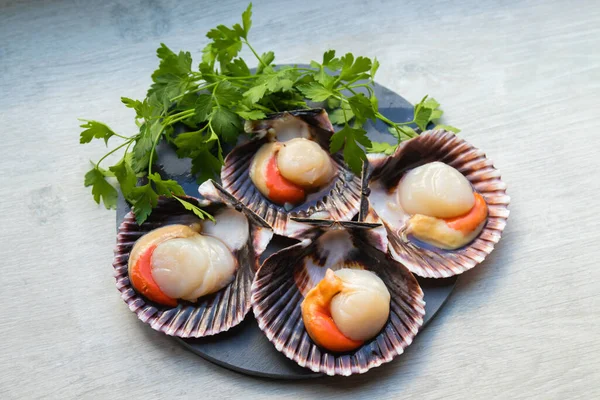 Pétoncles Naturels Dans Coquille Groupés Vue Dessus — Photo