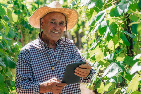 Landwirt Mit Tablet Kontrolliert Die Ernte — Stockfoto