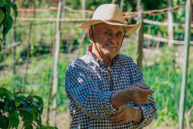 Meyve bahçesindeki son sınıf fotoğrafı.