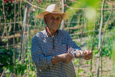 Tarlada ya da meyve bahçesinde kıdemli çiftçinin portresi
