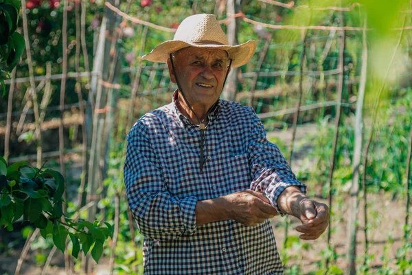 Retrato Agricultor Sénior Campo Pomar — Fotografia de Stock