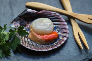 Deniz tarakları ya da deniz tarakları taş bir tabakta kabukta.