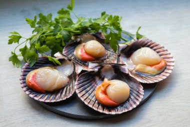 Doğal deniz taraklarının üst görünümü