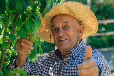 Çiftçinin hasatı ya da mahsulü iyi işaretle göstermesi