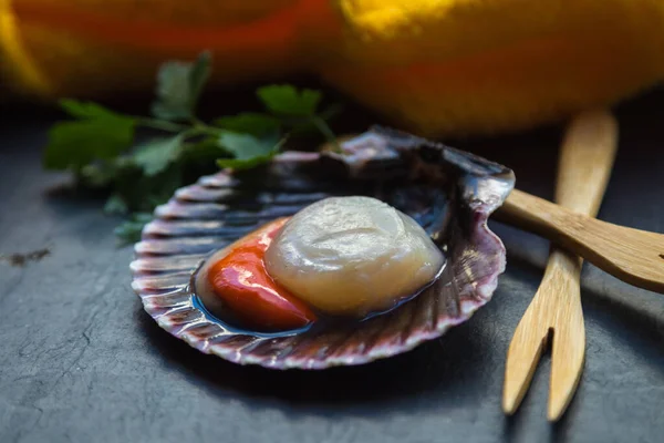 Scallops Natural Scallops Shell Stone Plate — Stock Photo, Image