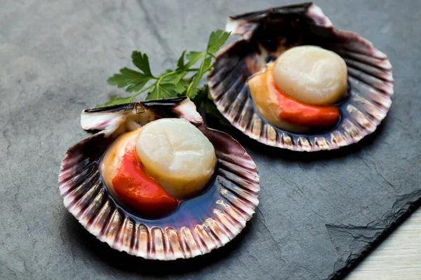 Top View Natural Scallops — Stock Photo, Image