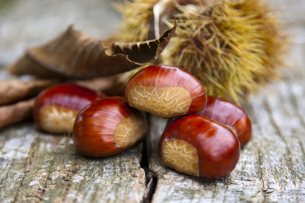 Chestnuts, nuts — Stock Photo, Image