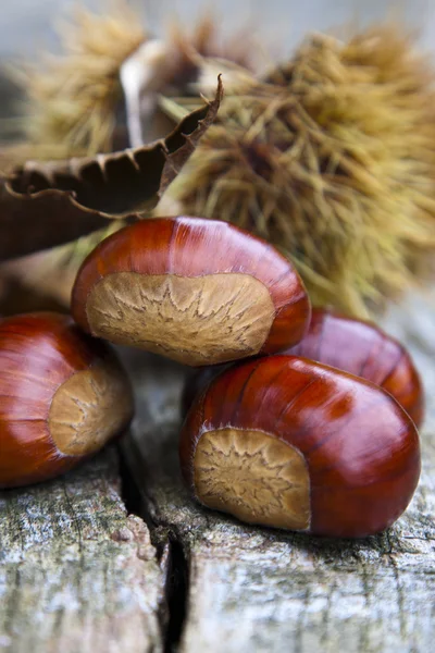 Castanhas, nozes — Fotografia de Stock