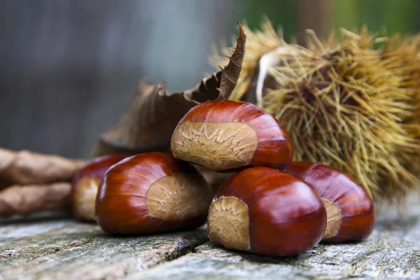 Chestnuts, nuts — Stock Photo, Image