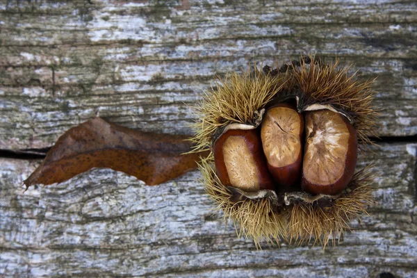 Castanhas, nozes — Fotografia de Stock