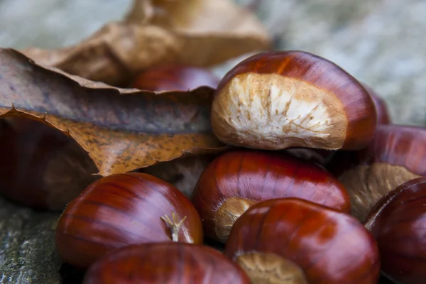 Kaštany, ořechy — Stock fotografie
