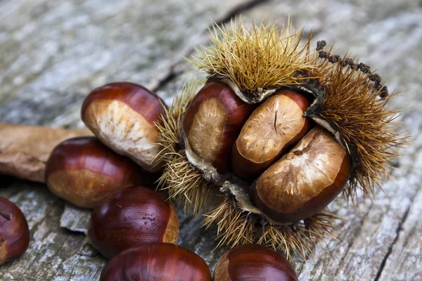 Chestnuts, nuts — Stock Photo, Image