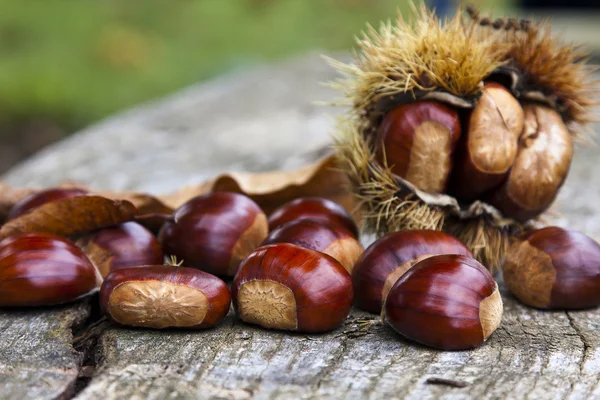 Chestnuts, nuts — Stock Photo, Image