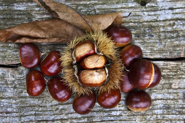 Castanhas — Fotografia de Stock