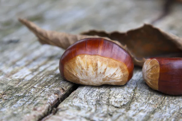 Castañas, frutas de otoño — Foto de Stock