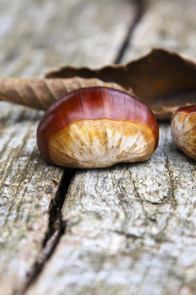 Castanhas — Fotografia de Stock