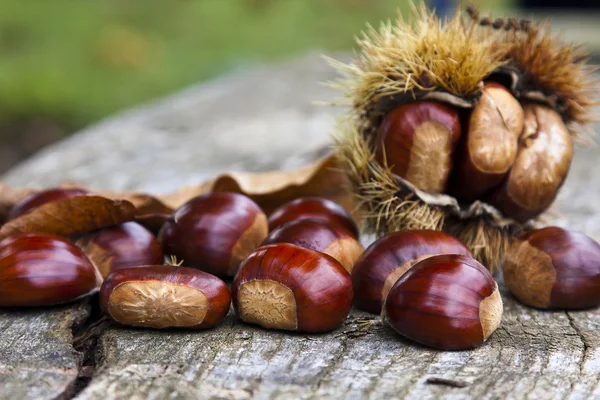 Castanhas — Fotografia de Stock