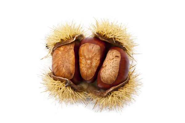 Chestnuts — Stock Photo, Image