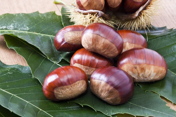 Chestnuts — Stock Photo, Image