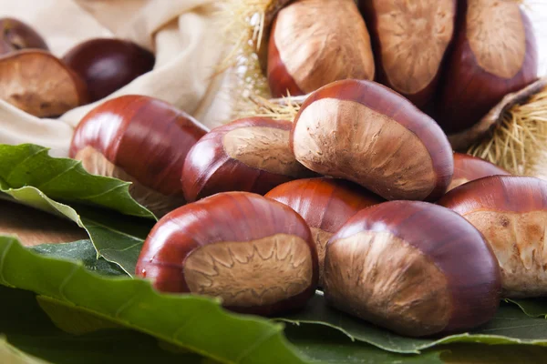 Chestnuts — Stock Photo, Image