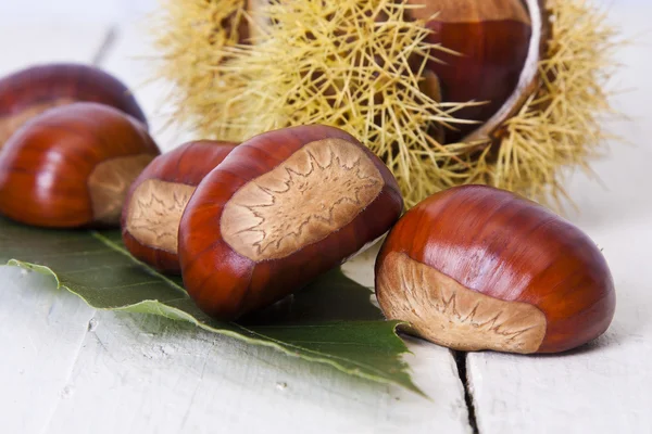 Chestnuts — Stock Photo, Image