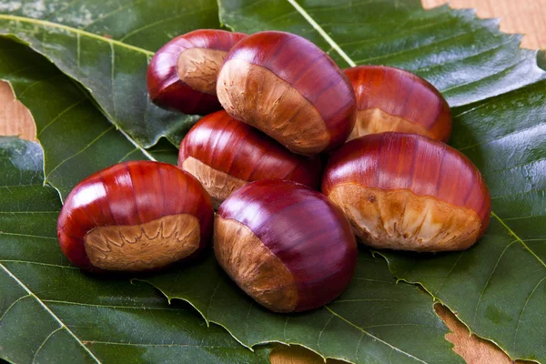 Castanhas — Fotografia de Stock