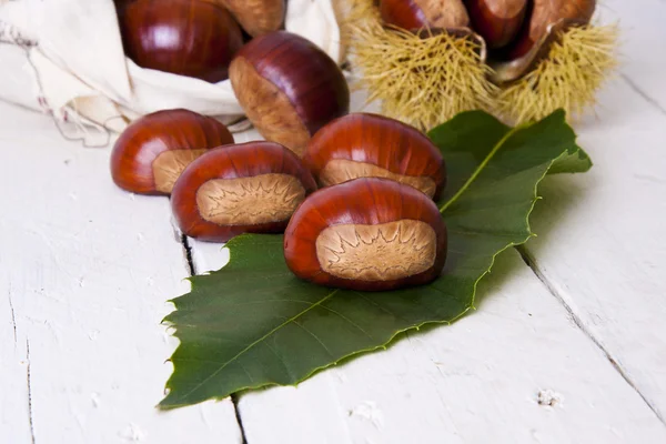 Castanhas — Fotografia de Stock