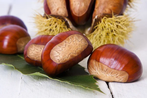 Chestnuts — Stock Photo, Image