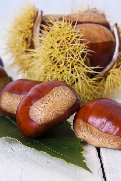 Chestnuts — Stock Photo, Image