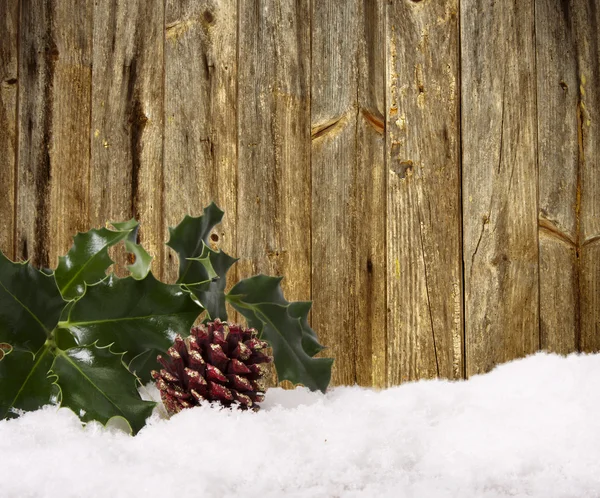 Christmas — Stock Photo, Image