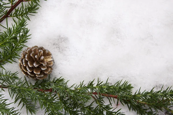 Weihnachten — Stockfoto