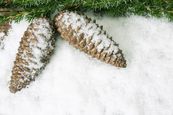 Weihnachten — Stockfoto