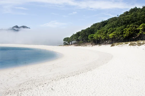 Paisagem praia, cies — Fotografia de Stock