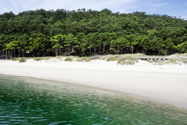 Beach landscape