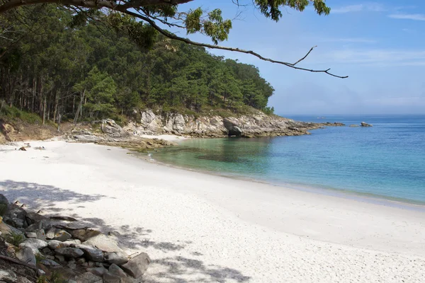 Paesaggio della spiaggia — Foto Stock