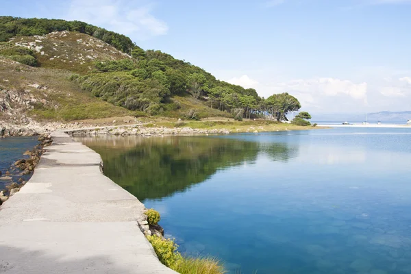 Peisaj plaja, cies — Fotografie, imagine de stoc